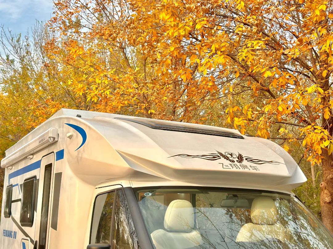 微信图片_20231130163808.jpg 微信图片_20231130163808.jpg